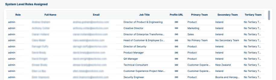 Assigned System Level Roles Blurred.png