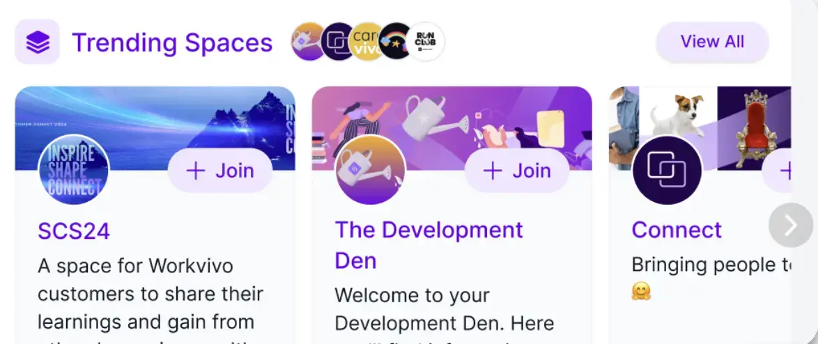 Trending Feed.webp
