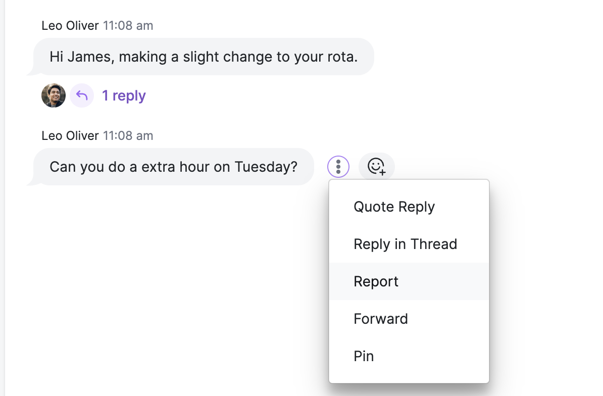 reportmessage1.png